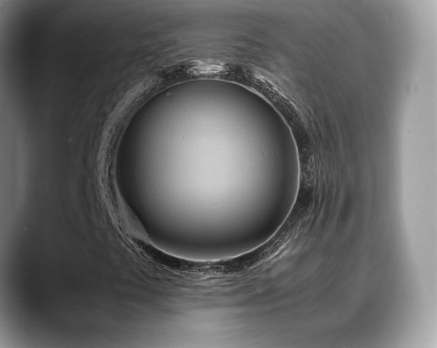 X0000088861441200706081144