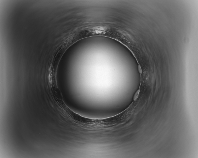X0000088861442200706081144
