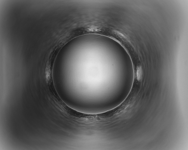 X0000088861444200706081144