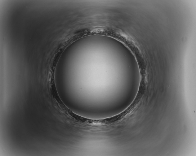 X0000088861445200706081144