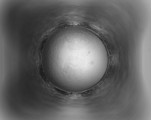 X0000088861446200706081144