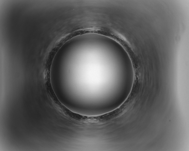 X0000088861448200706081144