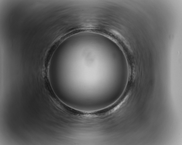 X0000088861449200706081144