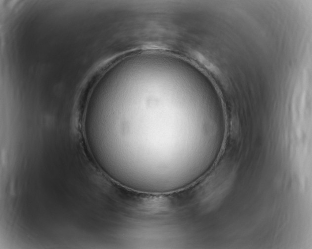 X0000088861454200706081144