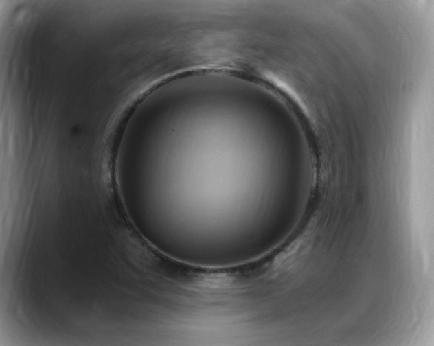 X0000088861455200706081144