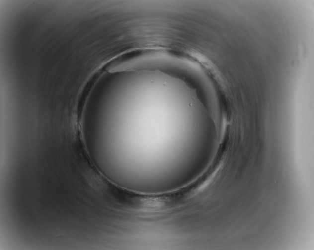 X0000088861457200706081144