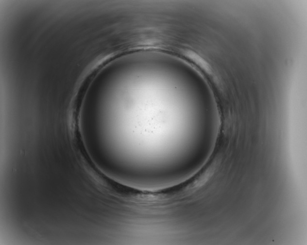 X0000088861458200706081144
