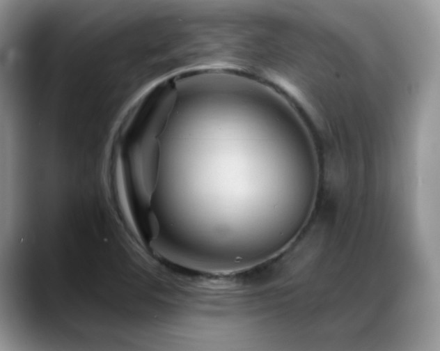 X0000088861460200706081144