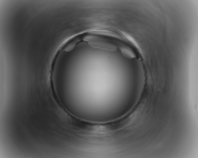X0000088861463200706081144