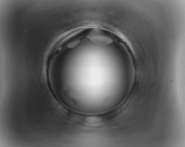 X0000088861464200706081144