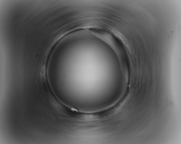 X0000088861465200706081144