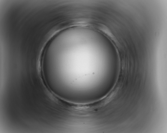 X0000088861466200706081144
