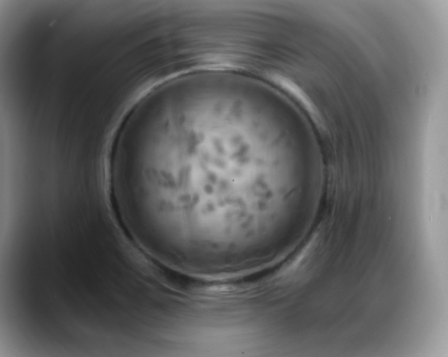 X0000088861467200706081144