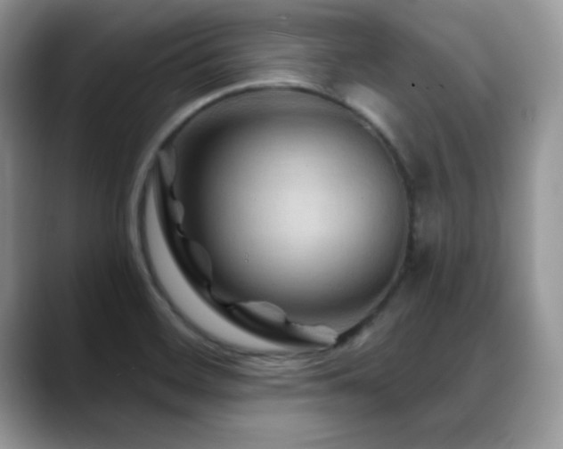X0000088861468200706081144
