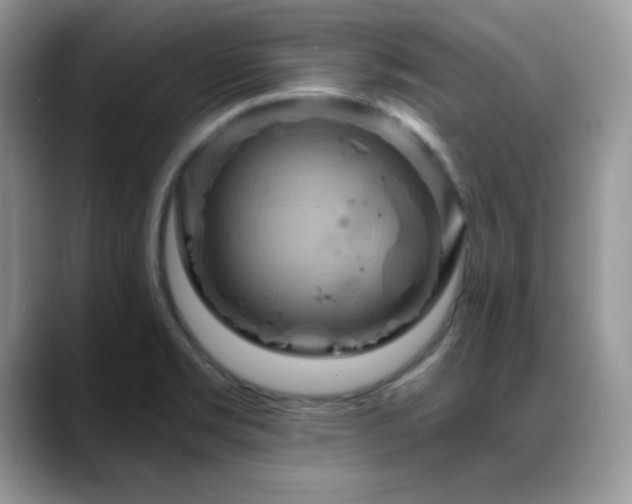 X0000088861469200706081144