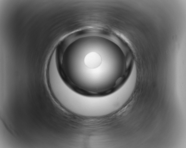 X0000088861471200706081144