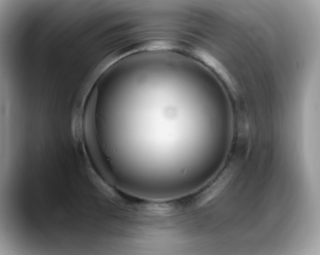 X0000088861473200706081144