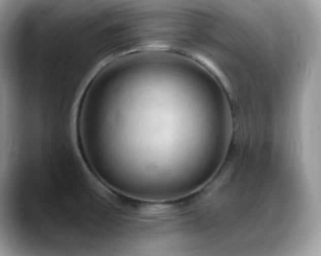 X0000088861475200706081144