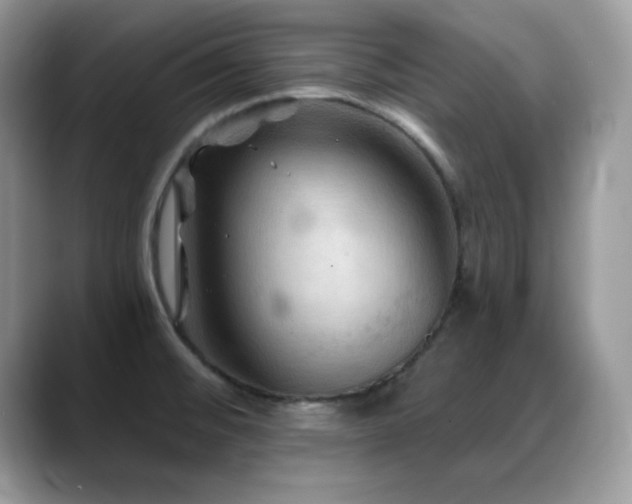 X0000088861476200706081144