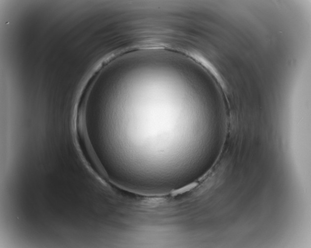X0000088861477200706081144