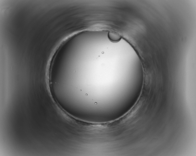 X0000088861478200706081144