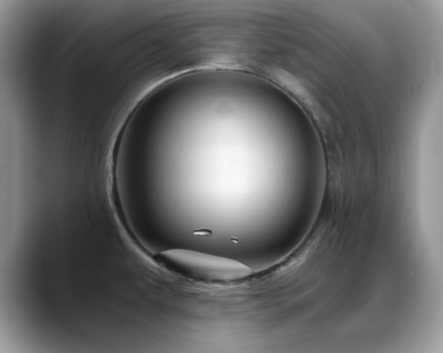 X0000088861479200706081144