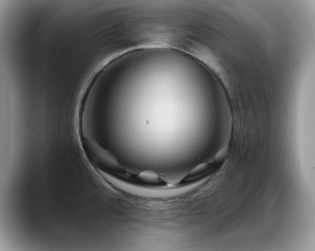 X0000088861480200706081144