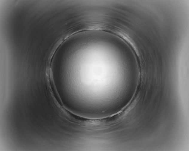 X0000088861481200706081144