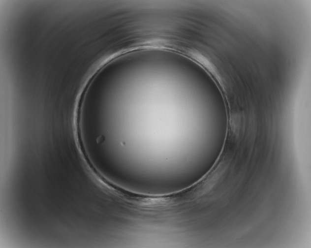 X0000088861482200706081144