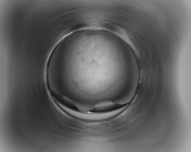 X0000088861484200706081144