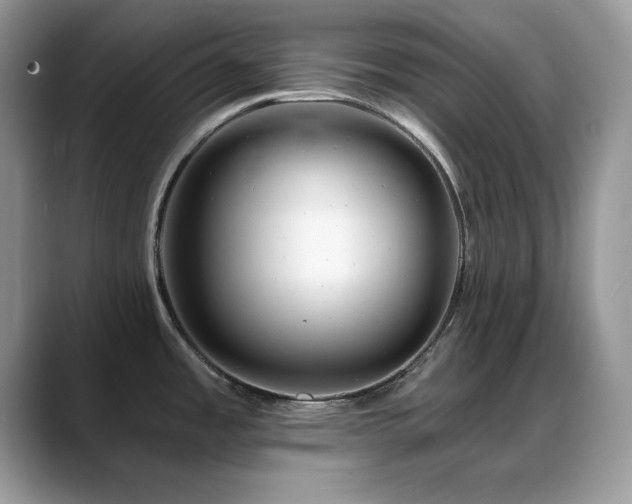 X0000088861485200706081144