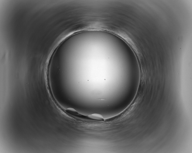 X0000088861486200706081144
