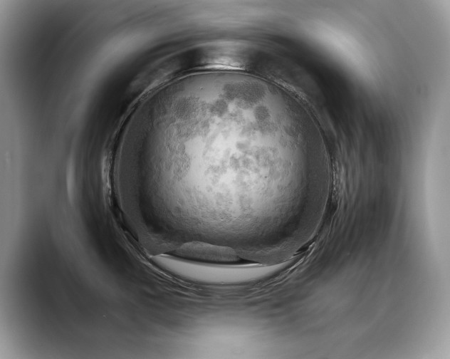 X0000088861487200706081144