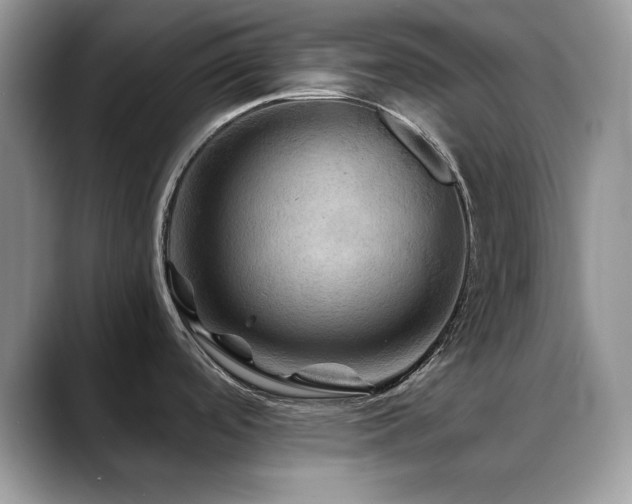 X0000088861488200706081144