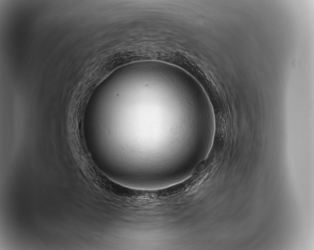 X0000088861489200706081143