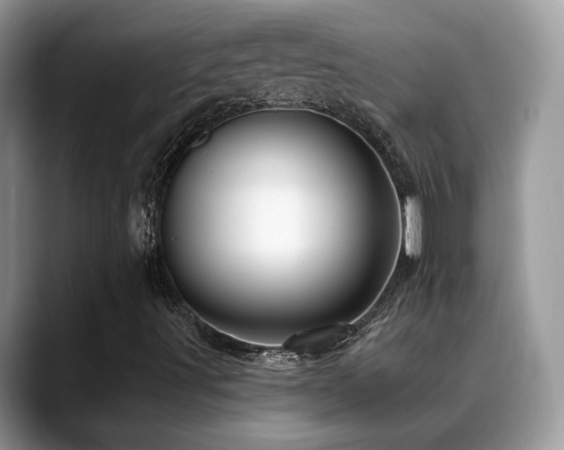 X0000088861491200706081143