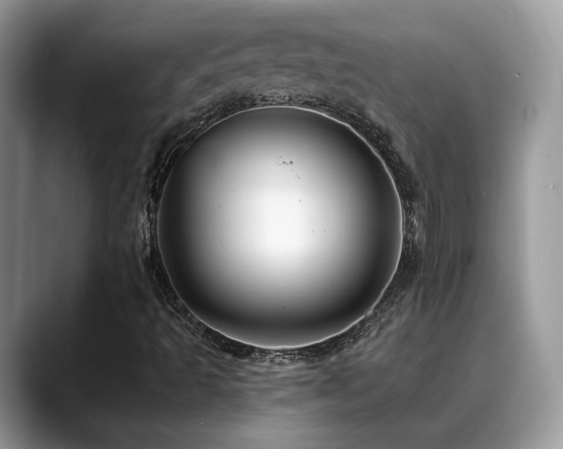 X0000088861493200706081143