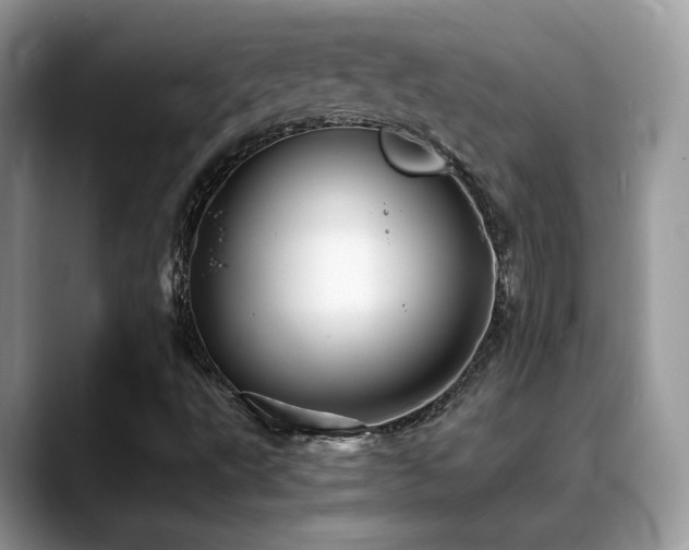 X0000088861495200706081143