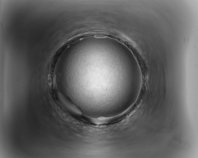 X0000088861496200706081143