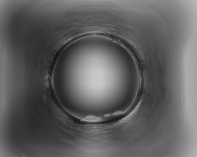X0000088861497200706081143