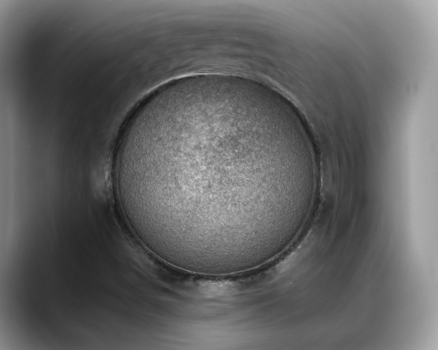 X0000088861498200706081143