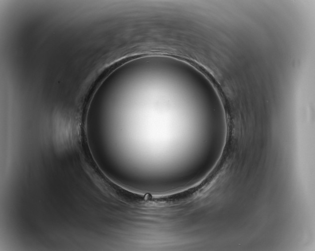X0000088861499200706081143
