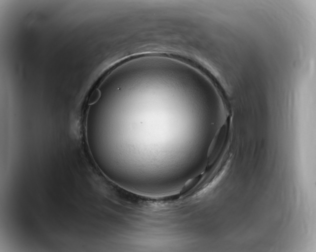X0000088861501200706081143