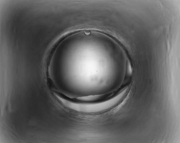 X0000088861502200706081143