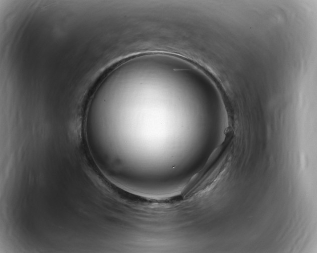 X0000088861503200706081143