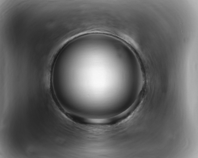 X0000088861504200706081143