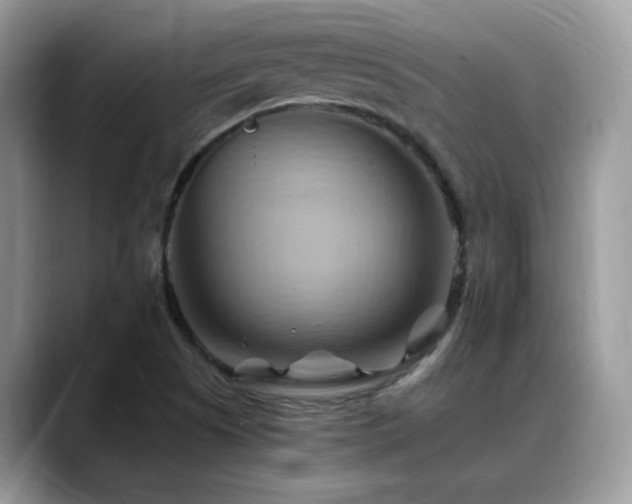 X0000088861505200706081143
