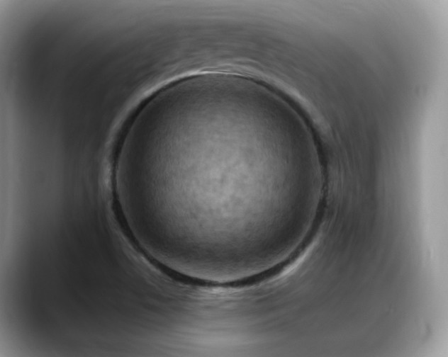 X0000088861506200706081143