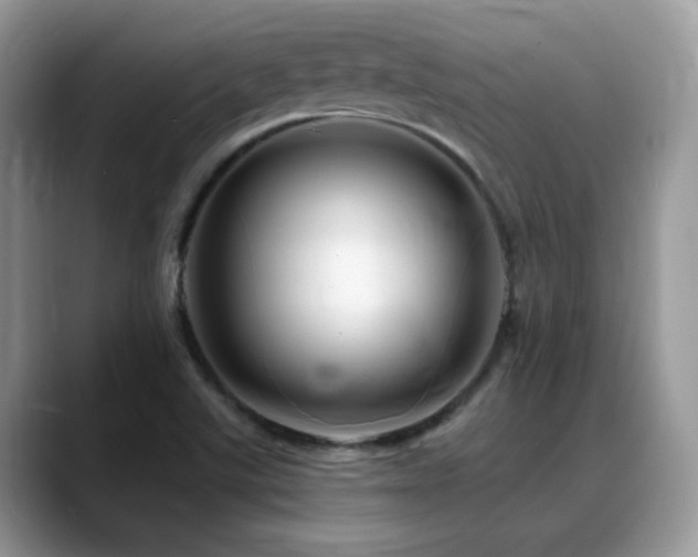 X0000088861507200706081143