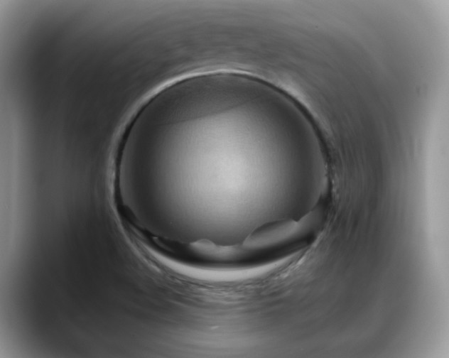 X0000088861508200706081143